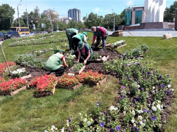В Одессе продолжают сажать летние цветы и косить траву 