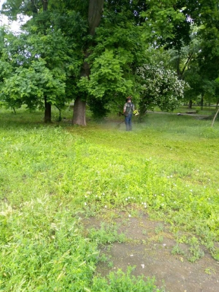 В Одессе продолжают сажать летние цветы и косить траву 
