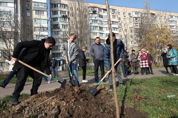 Одесситы продолжают высаживать 1000 акаций: как присоединиться