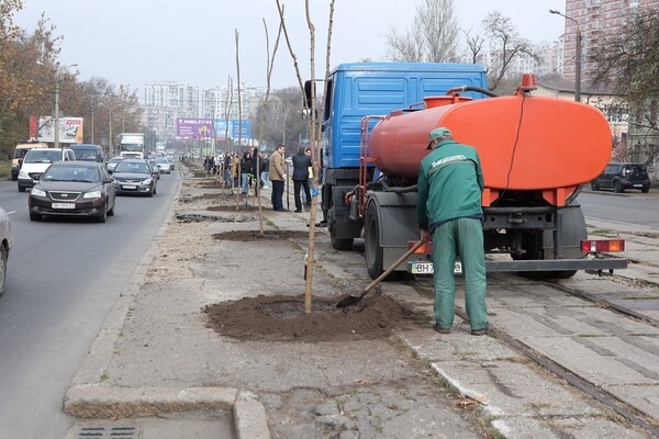 Одесситы продолжают высаживать 1000 акаций: как присоединиться