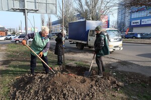 Одесситы продолжают высаживать 1000 акаций: как присоединиться