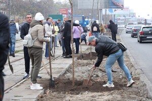 Одесситы продолжают высаживать 1000 акаций: как присоединиться