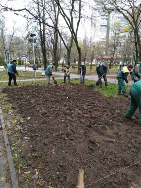 Зимнее озеленение: в Одессе продолжают сажать розы