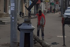 В центре Одессы коммунальщики спилили старинные столбы