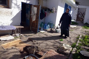 В одесском монастыре помогают котам-беженцам (фото)
