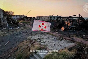 Спецоперация "Змеиный": новые подробности и фото "зачистки" острова