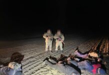 В Одесской области задержали четырех «уклонистов»: их остановила только стрельба