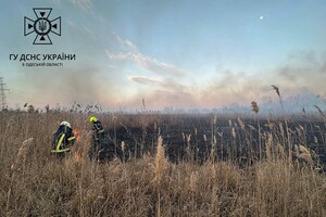 В Суворовском районе Одессы горели поля фильтрации: подробности пожара