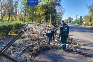 Деревопад и обесточенные населенные пункты: к каким последствиям привела непогода в Одесской области