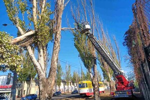 Деревопад и обесточенные населенные пункты: к каким последствиям привела непогода в Одесской области