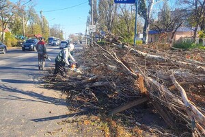 Деревопад и обесточенные населенные пункты: к каким последствиям привела непогода в Одесской области