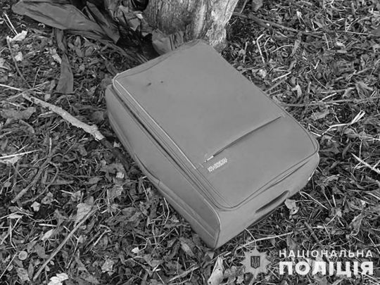 Жахлива знахідка в Тернополі: поліція затримала чоловіка, який викинув валізу з трупом матері у місцевому парку