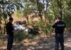 На Одесчине врезалась в дерево легковушка: погиб мужчина