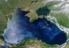 Разрушение Кинбурнской косы и загрязнение Черного моря: в Украине фиксируют экологическую катастрофу из-за действий РФ