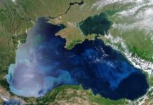 Разрушение Кинбурнской косы и загрязнение Черного моря: в Украине фиксируют экологическую катастрофу из-за действий РФ