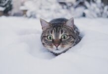 До -7 °С и первый снег: какая погода будет в Одессе на следующей неделе