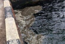 Загрязнение Сухого лимана после обстрелов Одесчины: какие убытки понесла окружающая среда