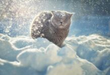Снег, скользко и до -13 °С: какая погода будет в Одессе в эти выходные